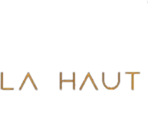 لاهو ميزون و سيال