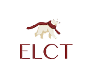 افتتاح elct في واجهة روشن