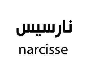 نارسيس