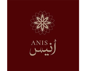 انيس